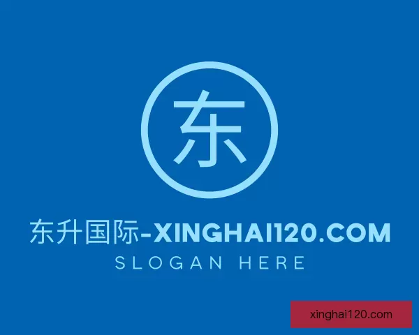 了解波动东升国际